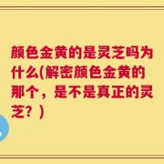 颜色金黄的是灵芝吗为什么(解密颜色金黄的那个，是不是真正的灵芝？)