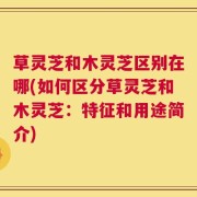 草灵芝和木灵芝区别在哪(如何区分草灵芝和木灵芝：特征和用途简介)