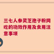 三七人参灵芝孢子粉同吃的功效作用及食用注意事项