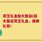灵芝礼盒超大整朵(超大整朵灵芝礼盒，健康礼赞！