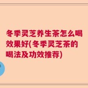 冬季灵芝养生茶怎么喝效果好(冬季灵芝茶的喝法及功效推荐)