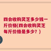 四会收购灵芝多少钱一斤价格(四会收购灵芝每斤价格是多少？)