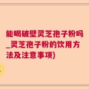能喝破壁灵芝孢子粉吗_灵芝孢子粉的饮用方法及注意事项)