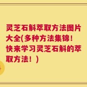 灵芝石斛萃取方法图片大全(多种方法集锦！快来学习灵芝石斛的萃取方法！)