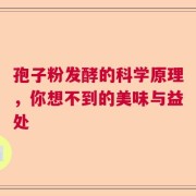 孢子粉发酵的科学原理，你想不到的美味与益处