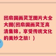 团扇国画灵芝图片大全大图(团扇国画灵芝高清集锦，享受传统文化的美妙之旅！)