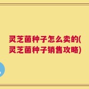 灵芝菌种子怎么卖的(灵芝菌种子销售攻略)