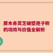 原木赤灵芝破壁孢子粉的功效与价值全解析