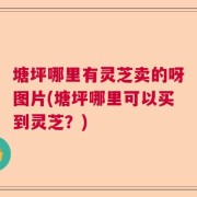塘坪哪里有灵芝卖的呀图片(塘坪哪里可以买到灵芝？)