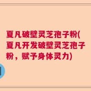 夏凡破壁灵芝孢子粉(夏凡开发破壁灵芝孢子粉，赋予身体灵力)
