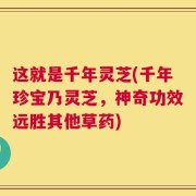 这就是千年灵芝(千年珍宝乃灵芝，神奇功效远胜其他草药)