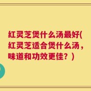 红灵芝煲什么汤最好(红灵芝适合煲什么汤，味道和功效更佳？)
