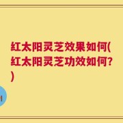 红太阳灵芝效果如何(红太阳灵芝功效如何？)