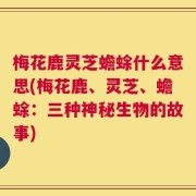 梅花鹿灵芝蟾蜍什么意思(梅花鹿、灵芝、蟾蜍：三种神秘生物的故事)