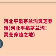 河北平泉茅兰沟灵芝养殖(河北平泉茅兰沟：灵芝养殖之地)