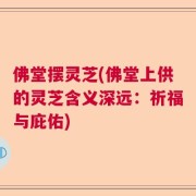佛堂摆灵芝(佛堂上供的灵芝含义深远：祈福与庇佑)