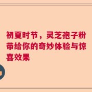 初夏时节，灵芝孢子粉带给你的奇妙体验与惊喜效果