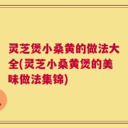 灵芝煲小桑黄的做法大全(灵芝小桑黄煲的美味做法集锦)