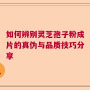 如何辨别灵芝孢子粉成片的真伪与品质技巧分享