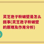 灵芝孢子粉破壁是怎么回事(灵芝孢子粉破壁的原理及作用分析)