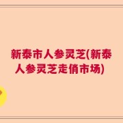 新泰市人参灵芝(新泰 人参灵芝走俏市场)
