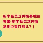新丰县灵芝种植基地在哪里(新丰县灵芝种植基地位置在哪儿？)