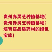 贵州赤灵芝种植基地(贵州赤灵芝种植基地：培育高品质药材的绿色宝库)