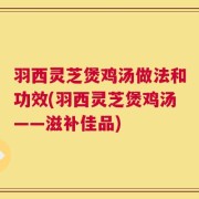 羽西灵芝煲鸡汤做法和功效(羽西灵芝煲鸡汤——滋补佳品)