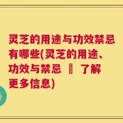 灵芝的用途与功效禁忌有哪些(灵芝的用途、功效与禁忌 – 了解更多信息)