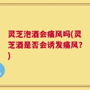 灵芝泡酒会痛风吗(灵芝酒是否会诱发痛风？)