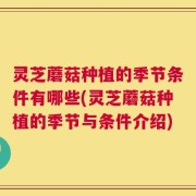 灵芝蘑菇种植的季节条件有哪些(灵芝蘑菇种植的季节与条件介绍)