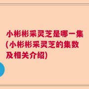 小彬彬采灵芝是哪一集(小彬彬采灵芝的集数及相关介绍)
