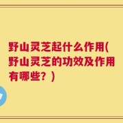 野山灵芝起什么作用(野山灵芝的功效及作用有哪些？)