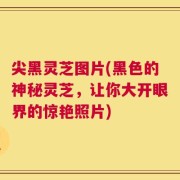 尖黑灵芝图片(黑色的神秘灵芝，让你大开眼界的惊艳照片)