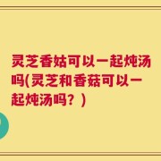 灵芝香姑可以一起炖汤吗(灵芝和香菇可以一起炖汤吗？)
