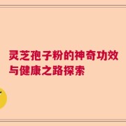 灵芝孢子粉的神奇功效与健康之路探索