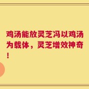 鸡汤能放灵芝冯以鸡汤为载体，灵芝增效神奇！