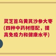 灵芝首乌黄芪沙参大枣(四种中药材搭配，提高免疫力和健康水平)
