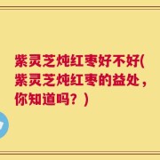 紫灵芝炖红枣好不好(紫灵芝炖红枣的益处，你知道吗？)