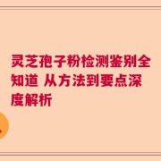 灵芝孢子粉检测鉴别全知道 从方法到要点深度解析