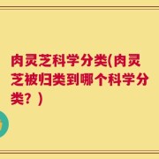 肉灵芝科学分类(肉灵芝被归类到哪个科学分类？)