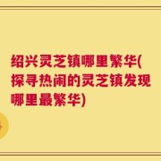 绍兴灵芝镇哪里繁华(探寻热闹的灵芝镇发现哪里最繁华)