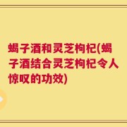 蝎子酒和灵芝枸杞(蝎子酒结合灵芝枸杞令人惊叹的功效)