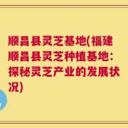 顺昌县灵芝基地(福建顺昌县灵芝种植基地：探秘灵芝产业的发展状况)