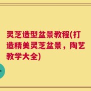 灵芝造型盆景教程(打造精美灵芝盆景，陶艺教学大全)