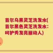首尔乌黑灵芝洗发水(首尔黑色灵芝洗发水：呵护秀发亮丽动人)