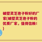 破壁灵芝孢子粉好的厂家(破壁灵芝孢子粉的优质厂家，值得信赖！)