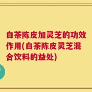 白茶陈皮加灵芝的功效作用(白茶陈皮灵芝混合饮料的益处)