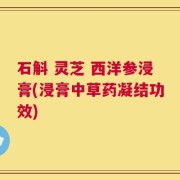 石斛 灵芝 西洋参浸膏(浸膏中草药凝结功效)
