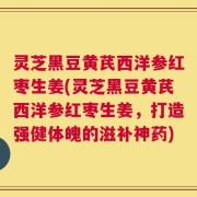 灵芝黑豆黄芪西洋参红枣生姜(灵芝黑豆黄芪西洋参红枣生姜，打造强健体魄的滋补神药)